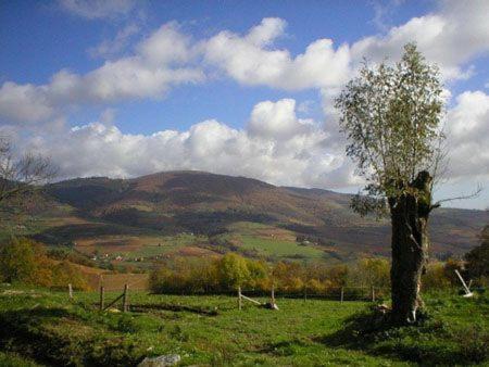 Vila Le Colombier D'Amalthee Vernay Exteriér fotografie